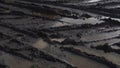 Muddy field with tire tracks and puddles. Dirty road with mud truck wheel tracks after rain