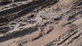 Muddy field with tire tracks and puddles. Dirty road with mud truck wheel tracks after rain. Off-road Royalty Free Stock Photo