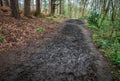 Muddy footpath on a hillslope in a forest Royalty Free Stock Photo