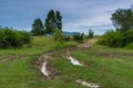 Muddy forest dirtroad between pine woods leading to the top of the hill Royalty Free Stock Photo