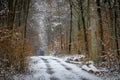 A muddy forest road covered with snow in the winter Royalty Free Stock Photo