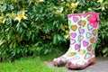 Muddy funky wellingtons Royalty Free Stock Photo