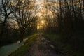 Muddy hiking trail in a winter forest with the low winter sun shing through the bare tree branches Royalty Free Stock Photo