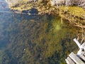 Muddy lake bottom with algae through clear water Royalty Free Stock Photo