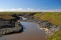 Muddy mountain river