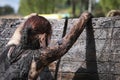 Muddy obstacle race runner in action. Mud run