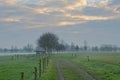 Dirt road through a misty landscape in the Flemish countryside Royalty Free Stock Photo
