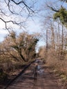 muddy path through countryside spring farm land tracks trees Royalty Free Stock Photo