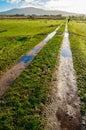 Muddy path crossing green sheep pastures