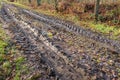 Muddy path through the forest with wheel tracks