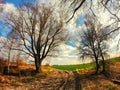 A muddy path leads through a field, flanked by bare trees under a partly cloudy sky Royalty Free Stock Photo