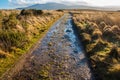 Muddy path in a moor in rural Scotland