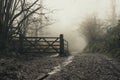 A muddy path, next to a gate, through a foggy, moody, spooky, winters forest Royalty Free Stock Photo