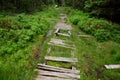 Wooden walkway in a nature reserve in a spruce forest in the mountains over a waterlogged peat bog, gray solid wood across 1m wide