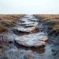 Muddy Pathway With Stepping Stones In Rural Landscape. Navigating Nature'S Challenges Royalty Free Stock Photo
