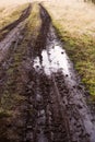 Muddy puddle with tire tracks on a meadow road in spring after rain Royalty Free Stock Photo