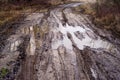 Muddy puddle with tire tracks on a meadow road in spring after rain Royalty Free Stock Photo