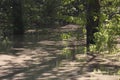 Muddy River Filled With Vegetation Royalty Free Stock Photo