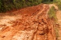 Muddy road through the jungle