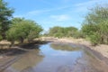 Muddy road in the African Bushveld