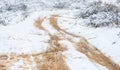 Muddy Road Due to Rare Snowstorm in Scottsdale, Arizona Royalty Free Stock Photo