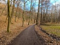 Muddy road going through sparse winter forest Royalty Free Stock Photo