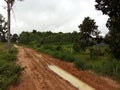 Muddy road in Isaan Thailand Royalty Free Stock Photo