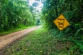 Muddy road in a jungle leading to Cockscomb Basin Wildlife Sanctuary, Belize. Sign jaguar xing crossing