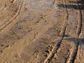 muddy road in the rain