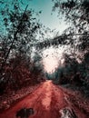 A muddy road  in a rainyday Royalty Free Stock Photo