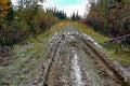 A muddy road with ruts in a cutline Royalty Free Stock Photo