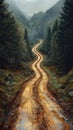 Muddy road winding through dense pine forest Royalty Free Stock Photo