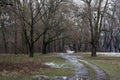 Muddy road in the winter forest Royalty Free Stock Photo