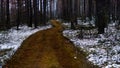 Muddy road in the woods Royalty Free Stock Photo