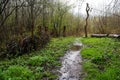 Muddy road through the woods of Kortenberg, Flemish Brabant, Belgium Royalty Free Stock Photo