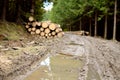 Muddy road in the woods and logs - a large pool in the foreground Royalty Free Stock Photo