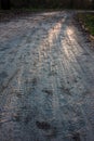 Muddy road in the woods, with reflections Royalty Free Stock Photo