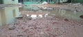 muddy roads in the area of ??the pesantren that was built Royalty Free Stock Photo