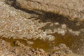 Muddy sand texture with salt cristals