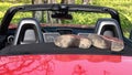 Muddy shoes on the back of a red, convertible sports car parked on a country road Royalty Free Stock Photo