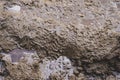 A muddy, slippery, rain-soaked sandy road. Texture of road dirt with traces of transport wheels and shoes Royalty Free Stock Photo