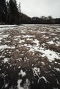 Muddy and snow covered cracked ground earth with forest stream in winter. Wide angle photo of snowy and dirty river in forest -