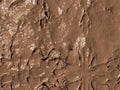 Muddy surface