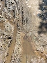 Muddy Tire Marks on Earth: Closeup of Mountain Bike Tracks on Ground Royalty Free Stock Photo