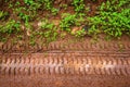 Muddy tire track on the grass way