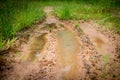 Muddy tire track on the grass way