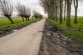 Muddy tire tracks on the shoulder of a country road