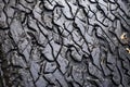 muddy tire tread pattern