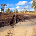 Muddy track in australia Royalty Free Stock Photo