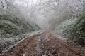 A muddy track through woodland. On a frosty winters day in the English countryside, Malvern Hills, Worcestershire, UK